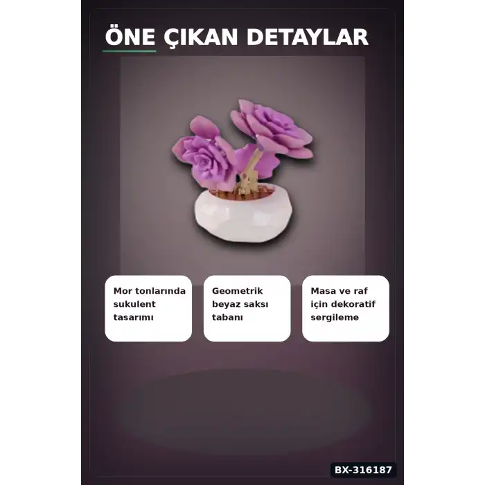 Mor Sukulent Yapım Blokları Seti - 76 Parça Bitki Modeli Masa Üstü Dekoratif Oyuncak BX-316187