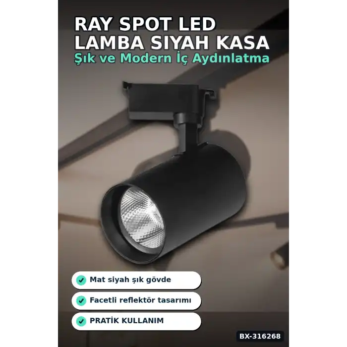 Ray Spot LED Lamba 30W Siyah Kasa 4000K Gün Işığı - Vitrin ve Mağaza Aydınlatması Tekli BX-316268