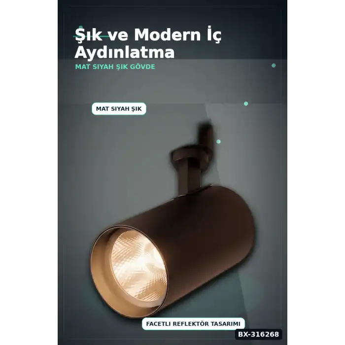 Ray Spot LED Lamba 30W Siyah Kasa 4000K Gün Işığı - Vitrin ve Mağaza Aydınlatması Tekli BX-316268