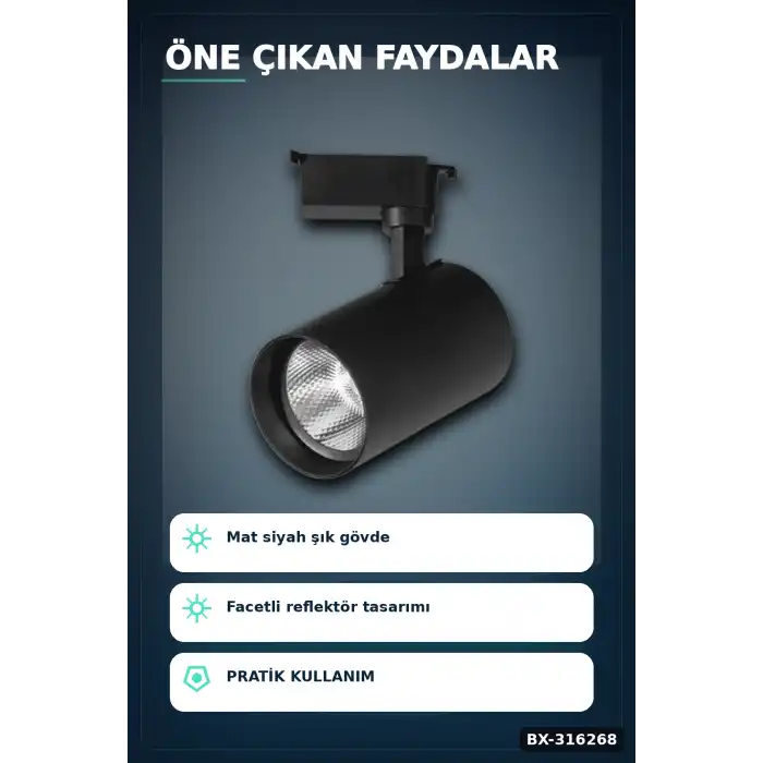Ray Spot LED Lamba 30W Siyah Kasa 4000K Gün Işığı - Vitrin ve Mağaza Aydınlatması Tekli BX-316268