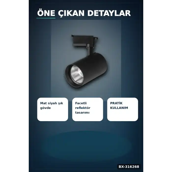 Ray Spot LED Lamba 30W Siyah Kasa 4000K Gün Işığı - Vitrin ve Mağaza Aydınlatması Tekli BX-316268