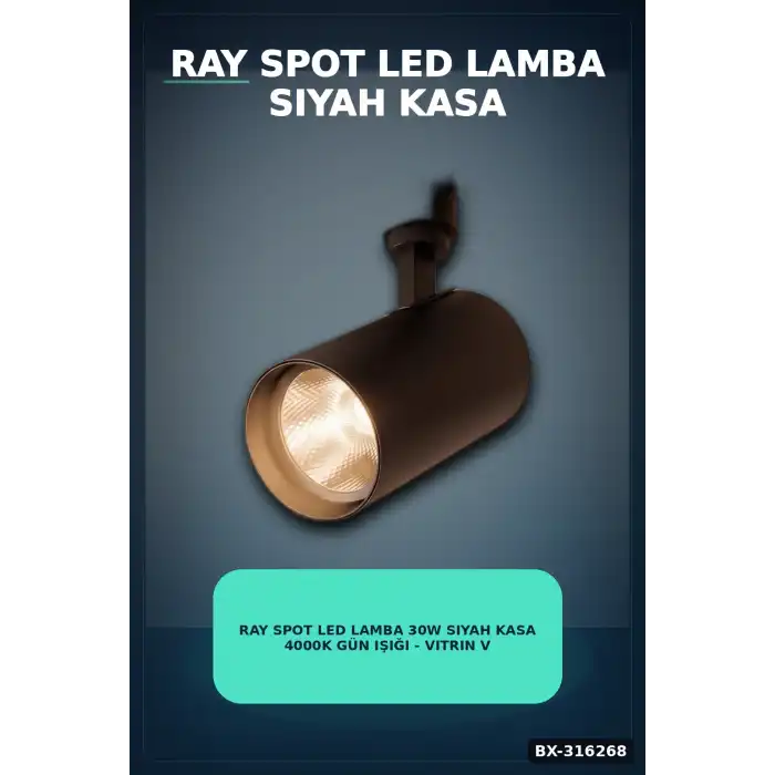 Ray Spot LED Lamba 30W Siyah Kasa 4000K Gün Işığı - Vitrin ve Mağaza Aydınlatması Tekli BX-316268