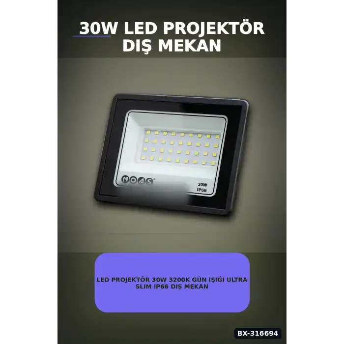 LED Projektör 30W 3200K Gün Işığı Ultra Slim IP66 Dış Mekan Aydınlatma BX-316694