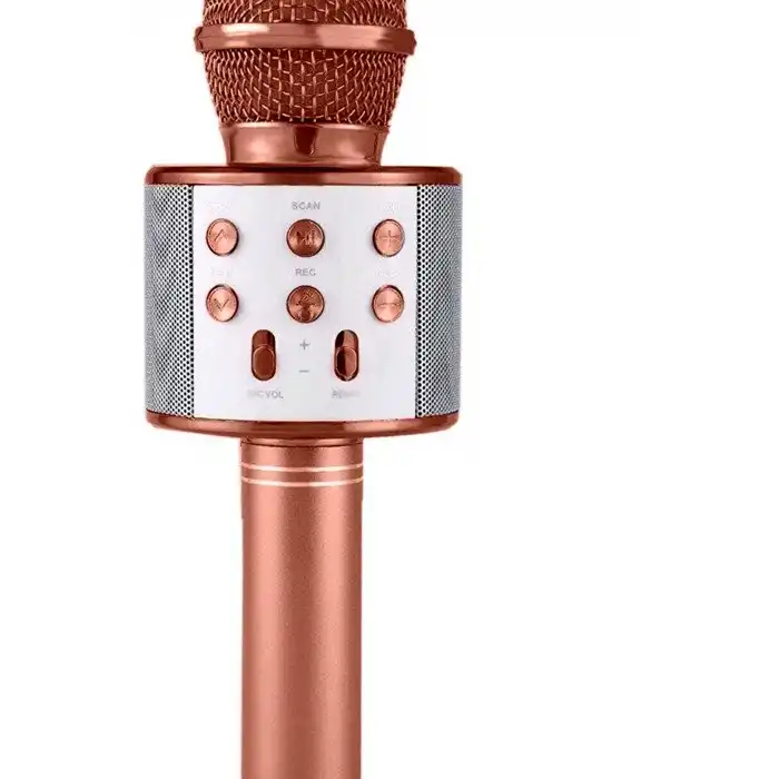 Karaoke Mikrofonlu Hoparlör Bluetooth Şarjlı Rose Gold Eko Ayarlı USB SD BX-316737