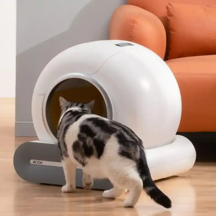 Akıllı Otomatik Kedi Tuvaleti