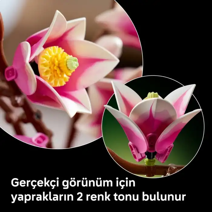 Botanicals Manolya Dalları 11510