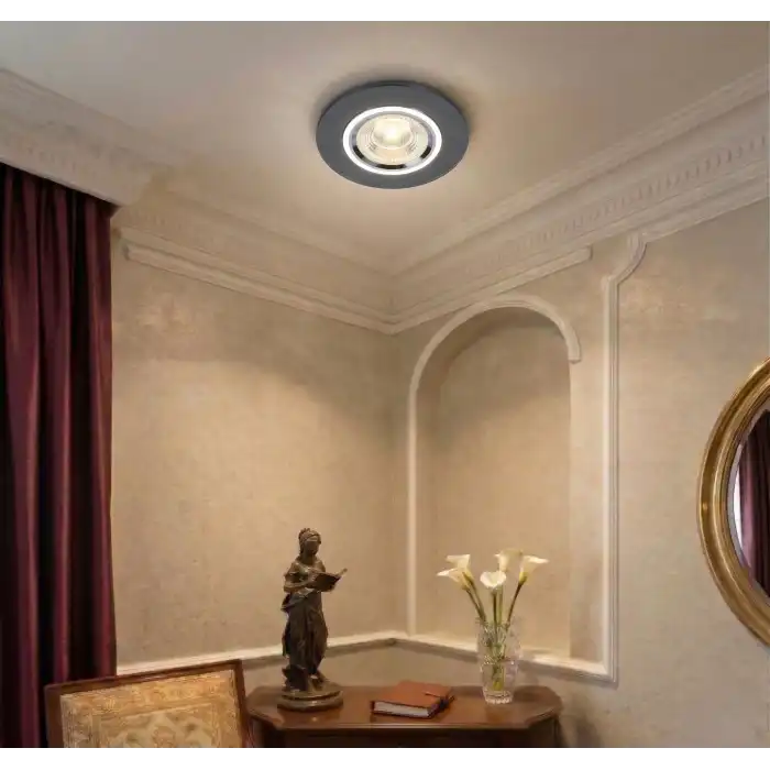 CATA CT 6646 Zambak Dekoratif Kristal Cam Spot Kasası