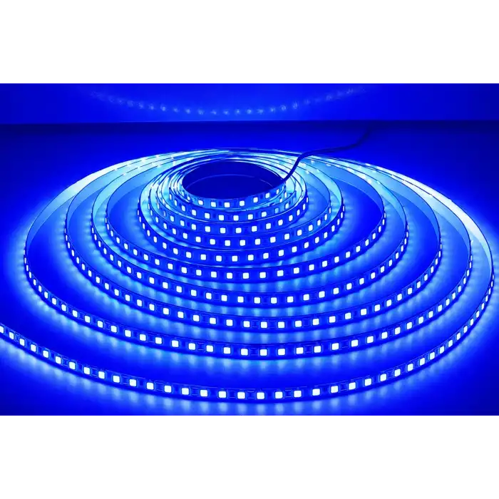 Eco Lounge 5 METRE CATA CT 4484 İç Mekan 12V 10 Çipli Şerit Led Mavi Işık