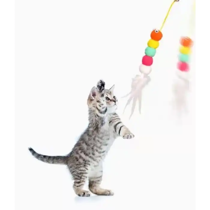 Elastik Kendinden Yapışkanlı Solucan Kedi Oltası Bx40