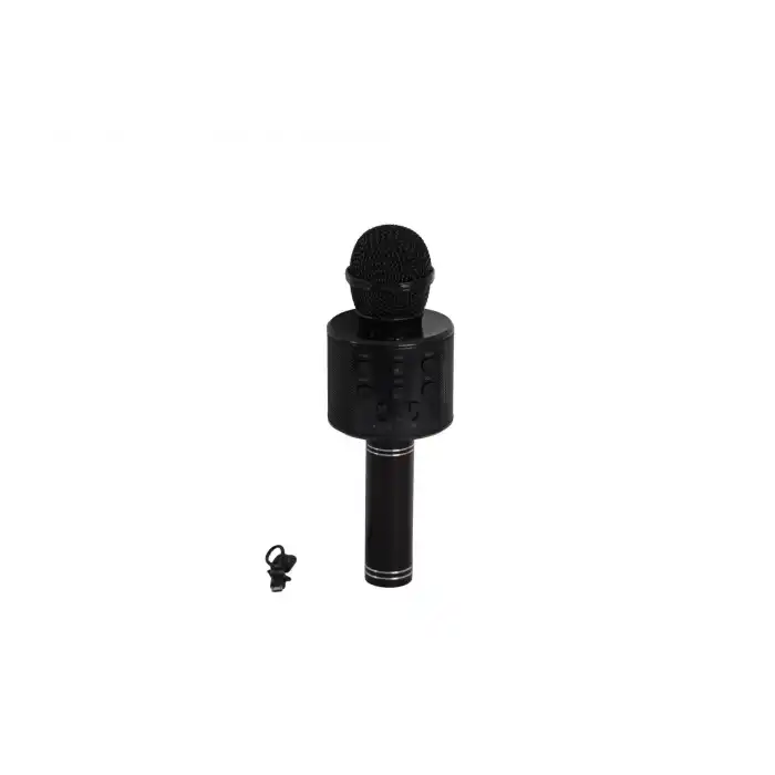 EMR-101 KUTULU KARAOKE MİKROFON