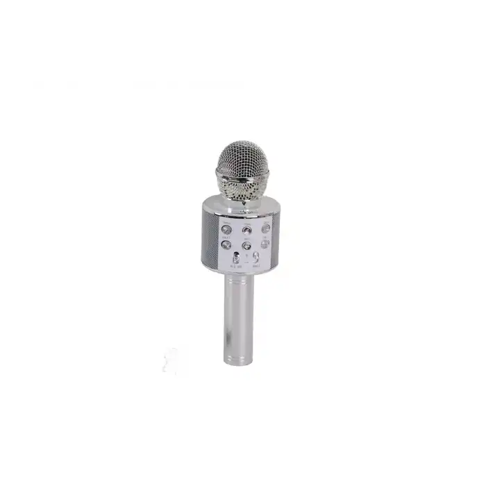 EMR-101 KUTULU KARAOKE MİKROFON