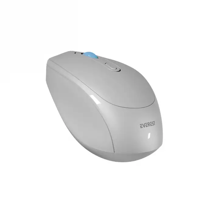 EVEREST SMW-87 KABLOSUZ MOUSE
