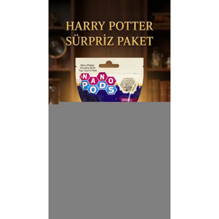 Harry Potter Koleksiyon Figür Seti 2li - Sürpriz Temalı Oyuncak