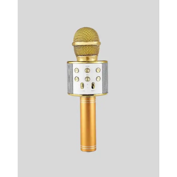 Karaoke Mikrofonu Bluetooth Usb Aux Girişli Yankı Efektli