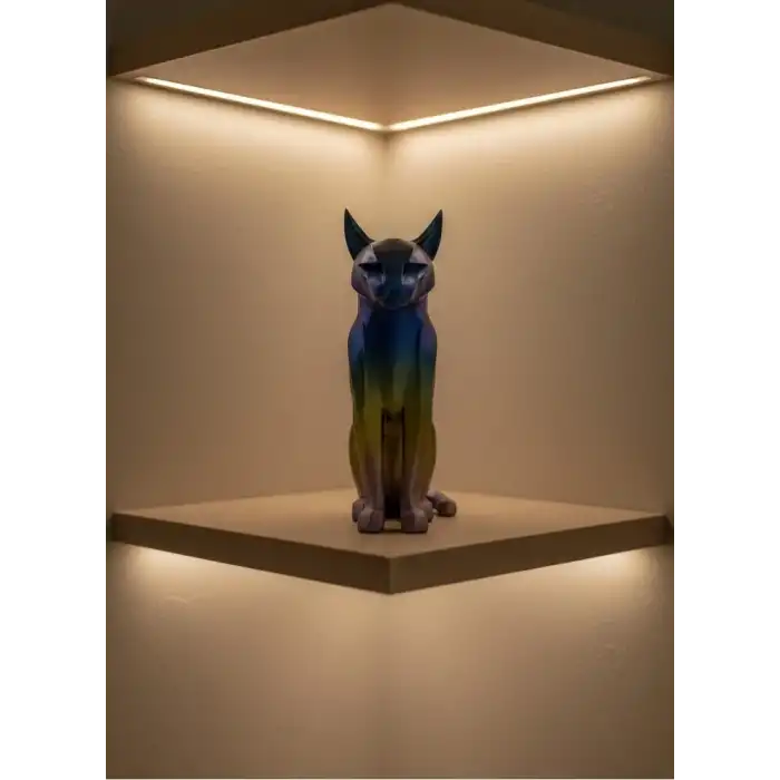 Koyu Rainbow Kedi