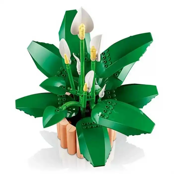 Botanicals Barış Çiçeği 11504