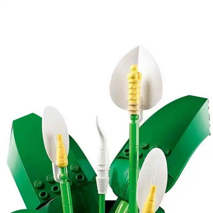 Botanicals Barış Çiçeği 11504