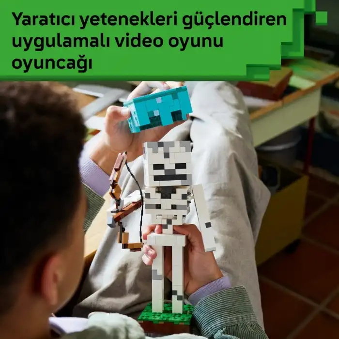 İskelet 21594