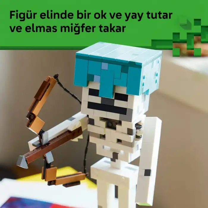 İskelet 21594