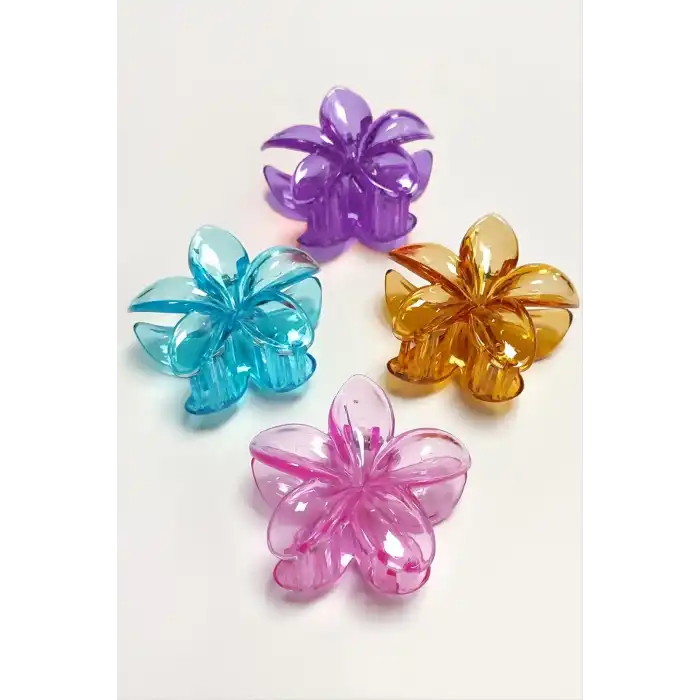 Lotus Toka 8 cm