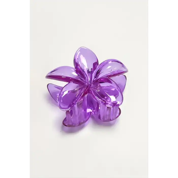 Lotus Toka 8 cm