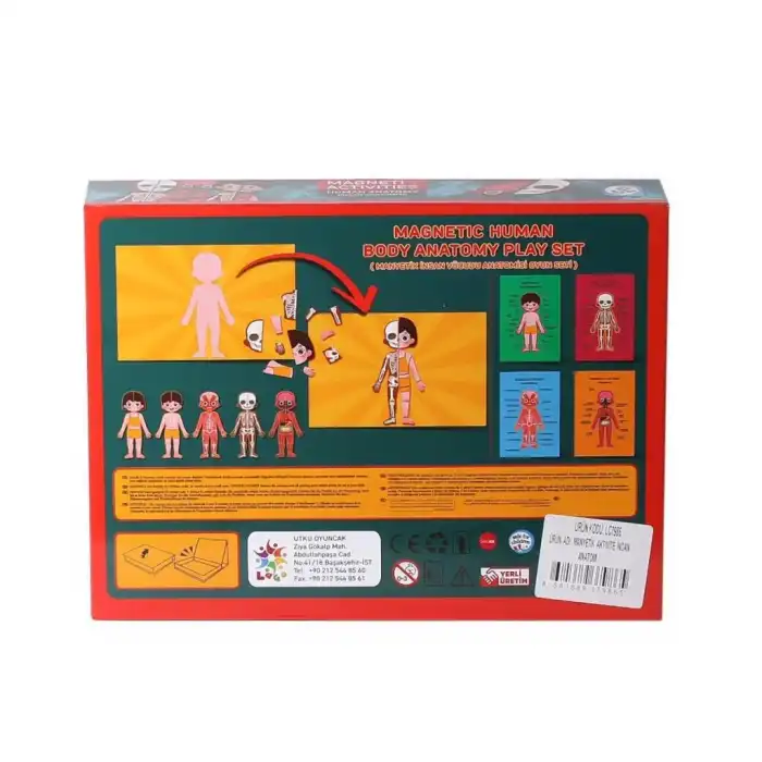 BX  LC986ManyetikAktiviteİnsanAnatomisi-Laço