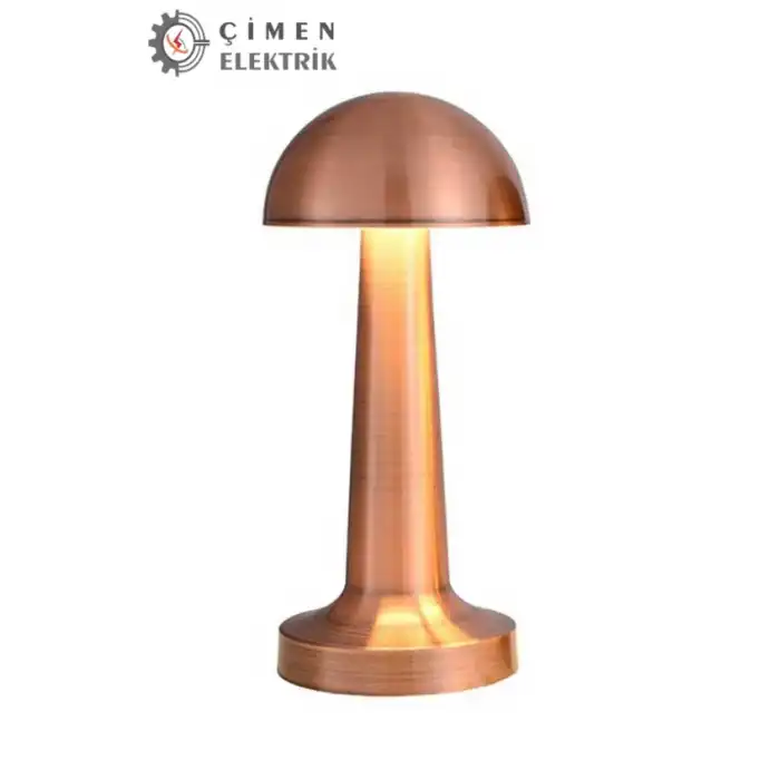 NOAS YL86 1231 Atina Dokunmatik Şarjlı Bronz Masa Lambası 3 Renk