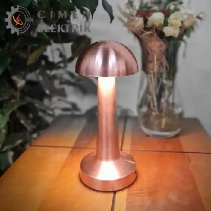 NOAS YL86 1231 Atina Dokunmatik Şarjlı Bronz Masa Lambası 3 Renk