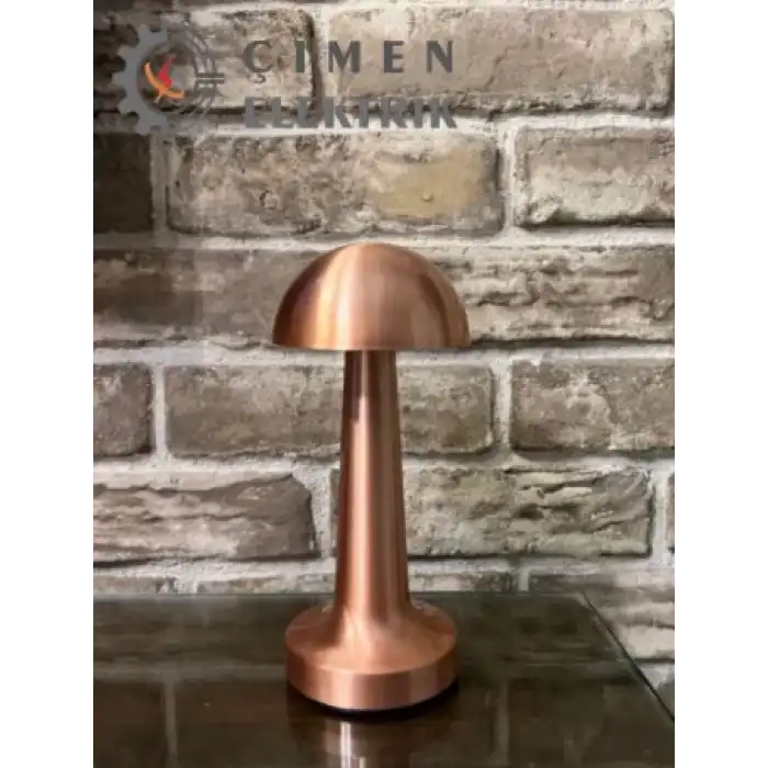 NOAS YL86 1231 Atina Dokunmatik Şarjlı Bronz Masa Lambası 3 Renk