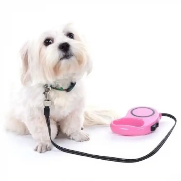 Otomatik Uzayan Köpek Tasması 3 METRE