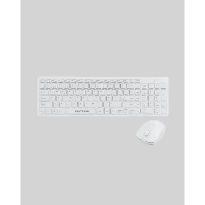PG-8040 KLAVYE VE MOUSE SETİ
