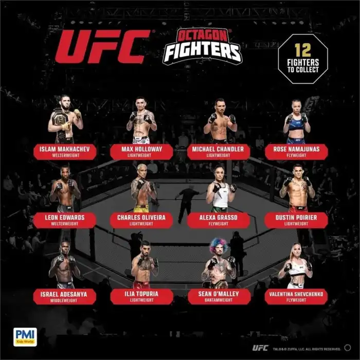 PMI/UFC2009