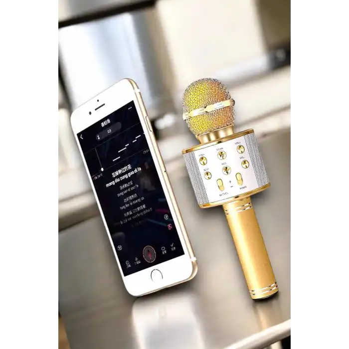 Şarjlı Ve Uzun Pil Ömürlü Karaoke Mikrofon Usb Bellek Destekli, Profesyonel Ses