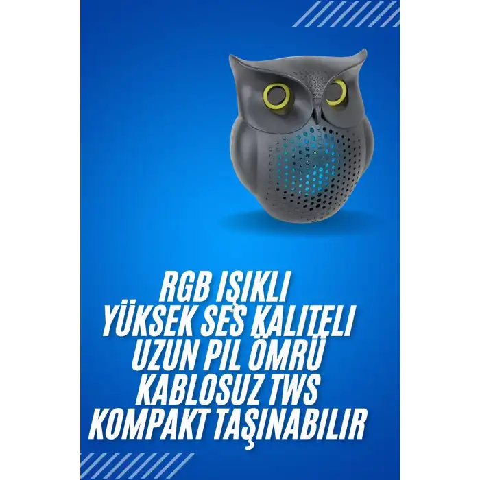 Siyah Bluetooth Hoporlör Baykuş Speaker Bluetooth 5.0 Bağlantılı