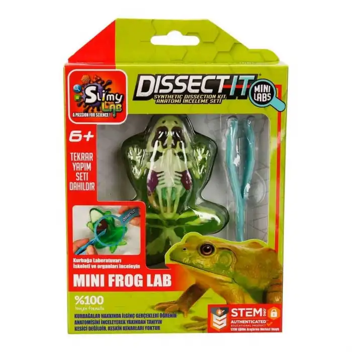 Slimy Dissect it Mini Labaratuvar