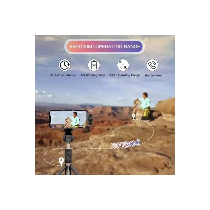 Type-C Çiftli Kablosuz Yaka Mikrofon Seti Telefon Vlog Canlı Yayın TikTok YouTube Uyumlu