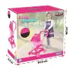 07 603 Lady Puset