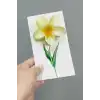 100 Adet Sarı Lotus Toka 8 cm Kına Seti