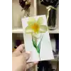 100 Adet Sarı Lotus Toka 8 cm Kına Seti