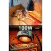 100W Kızılötesi (infrared) Isıtıcılı Hayvan Isıtma ve Kuluçka Lambası (Kırmızı Işık) E27 (Kalın Duy)