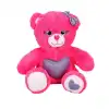 1512 Renkli Peluş Ayı 26 cm