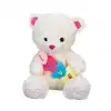1526 Kalpli Peluş Ayı 48 cm -Sunman