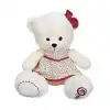 1529 Elbiseli Peluş Ayı 50 cm -
