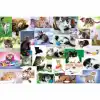 17332 Trefl/60 PUZZLE CATS WORLD YAPBOZ