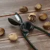 2si 1 Arada Kestane Çizici ve Ceviz Kıracağı