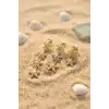 3 lü Set Gold Renk Deniz Yıldızı Model Küpe