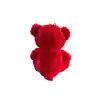 30 CM AY YILDIZ TEMALI AYICIK -HLY