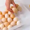 30lu Yumurta Saklama Kabı