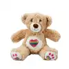 3184 Gökkuşağı Kalpli Peluş Ayı 30 cm