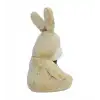 35 CM TAVŞAN PELUŞ -HLY